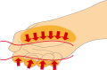multimedia#usage@89.png
