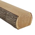 Piła HM MULTIX PRO Plus 0250x80x3,2/2,0/12+2z GM 4(20x6) do cięcia drewna świeżego na wielopiłach z dużym posuwem 2