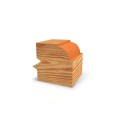 074.53_CL091_06ryszast.jpg